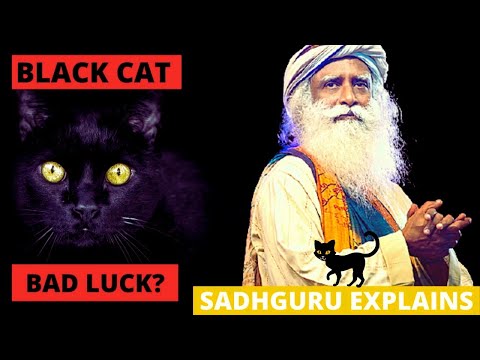 Does a black cat crossing your path brings Bad Luck? || Superstition Explained by Sadhguru
