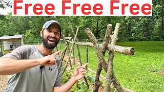 Free Garden Trellis Setup - Grow More Food in Less Space. It Looks Amazing!
