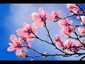Johnny Mathis - Spring Is Here