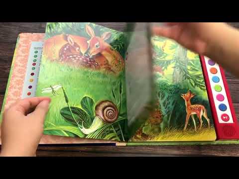 Миниатюра изображения товара Музыкальная книга Эксмо Бемби (Зальтен Ф.)