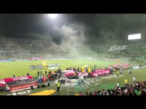 "Recibimiento gran final vs Once Caldas" Barra: Los del Sur • Club: Atlético Nacional