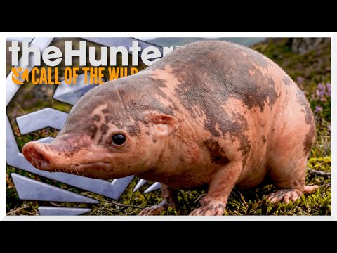 FIRST DIAMOND HAGGIS IN THE WORLD! This is how I bagged the haggis! | theHunter Call of the Wild