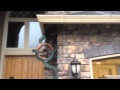 Water Wheel In Heavy Rain Fall 