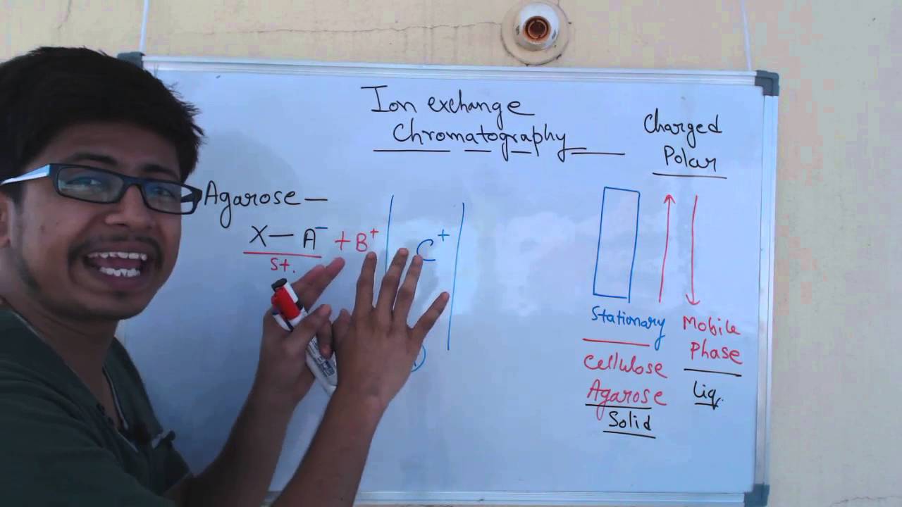 Ion exchange chromatography | cation exchange chromatography and anion exchange chromatography