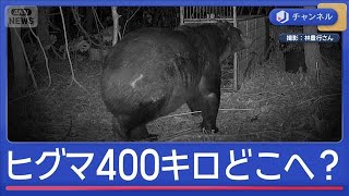 Re: [閒聊] 自衛隊前成員: 用刺刀即可殺熊