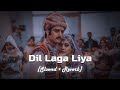 Dil Laga Liya Slowed Reverb LoFi Mood 90 S