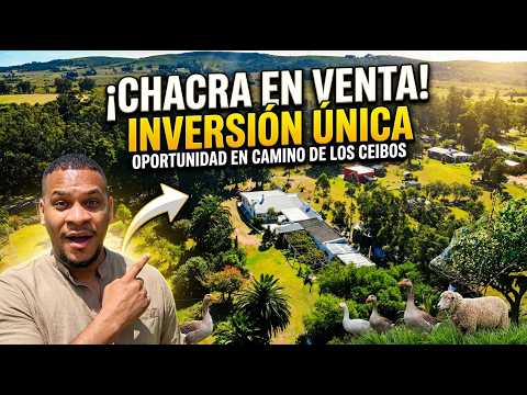 3 Hectáreas con Casas y Producción en Maldonado | Proyecto Rural con Gran Potencial