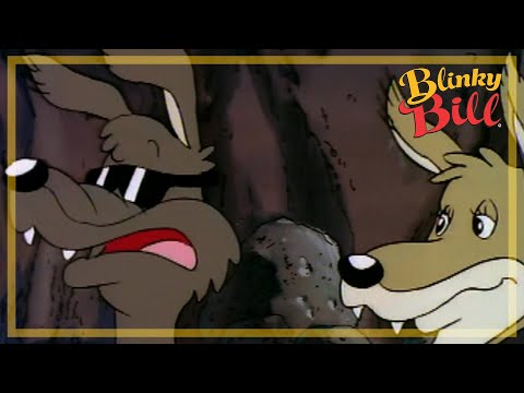 BLINKY BILLS TREASURE HUNT - Episode 17 - The Adventures of Blinky Bill