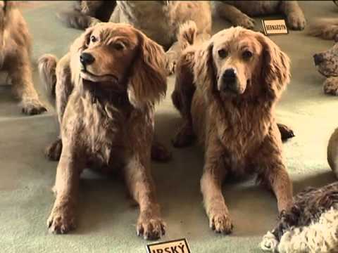 Krásy Čech Moravy a Slezska: Jižní Morava