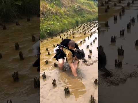 #shorts #agriculture #farming2024 #satisfying #machine #shot #EliteShortsUnleashed #4897