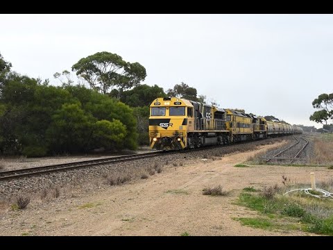 SSR in South Australia Keith Grain Train June 2020 SSR101 G513 SSR102