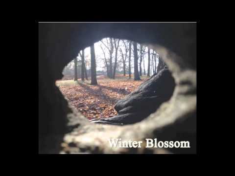 Andrea Terrano - Winter Blossom