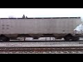 Cn Freight Train Cloudy Day Carbondale Illinois