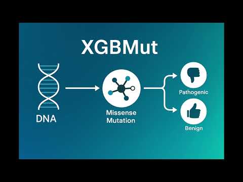 XGBMut: Predicting the Functional Impact of Missense Mutations