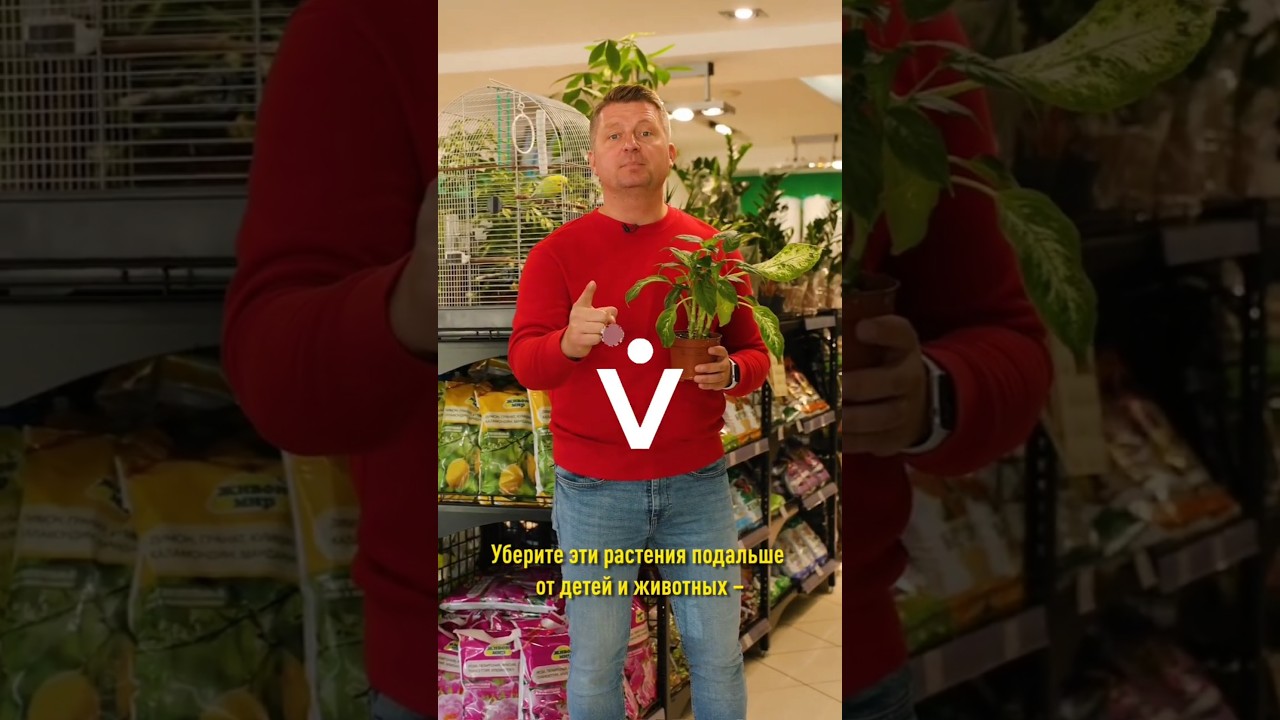 Уберите эти растения подальше от детей и животных – они опасны!
