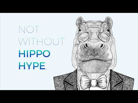 Why Use Hippo Hype to Build Your Website?