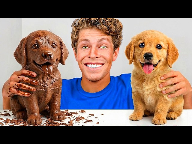 CHOCOLATE or REAL Challenge! SDDEFAULT Thumbnail