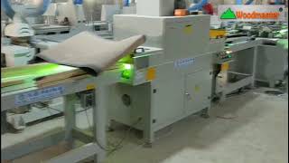 Dây chuyền sơn-xả lót chân ghế tự động Woodmaster