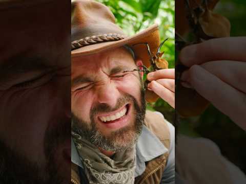 Put this on your FACE!