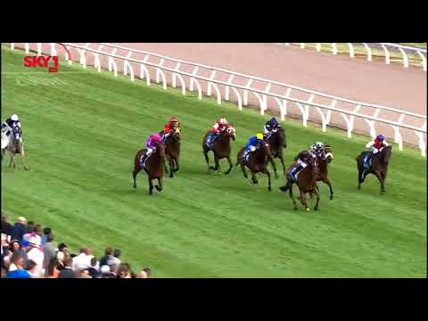 2022 WATC ASCOT W A Guineas