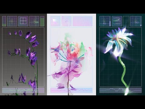 ARTIST SPOTLIGHT | Mei Tamazawa