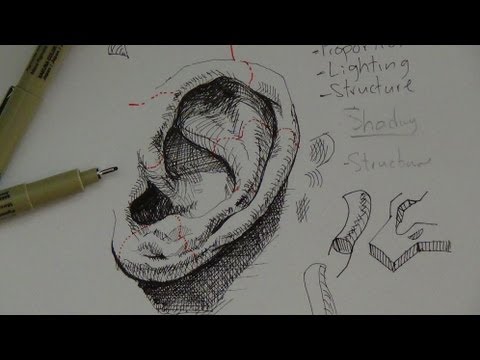 Pen Ink Drawing Tutorials | How to draw a realistic ear
