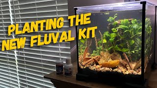 Planting the Fluval Betta 6 gallon kit