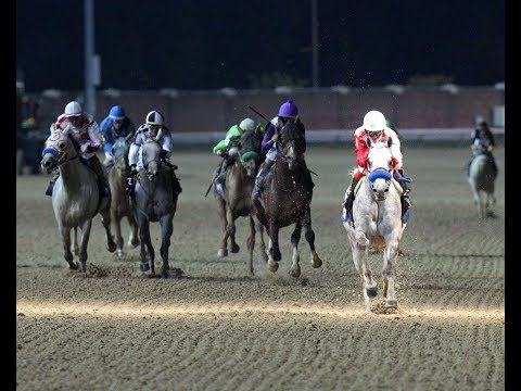 2018 President of the UAE Cup - Churchill Downs