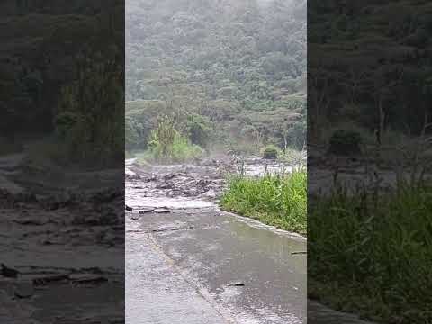 pacho via hacia la palma