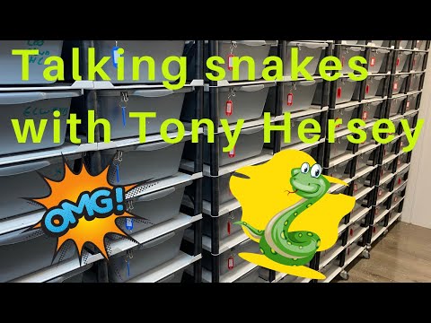 AMAZING BALL PYTHON COLLECTION!!TONY HERSEY