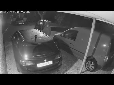 Mannen voelen 's nachts aan autoportieren in Grave