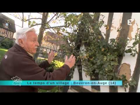 Regional report: Direction Beuvron-en-Auge