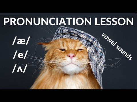 English vowel sound practice - Fat Cat In A Hat - targeting the /æ/, /e/ and /ʌ/ - Pronunciation