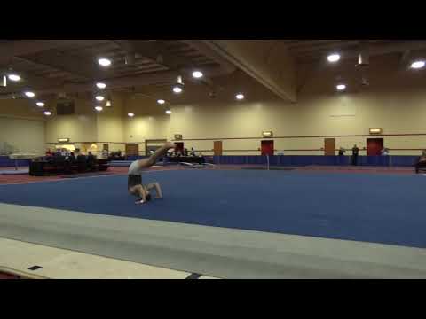 Landen Blixt - Floor Exercise - 2019 Winter Cup Junior Prelims