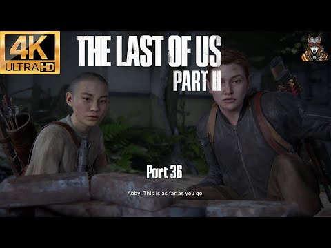 The Last Of Us Part 2 Remastered Walkthrough Gameplay - Part 36 (Full Campaign)