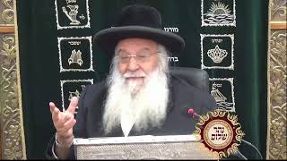 פרשת אמור-רשבי התשע"ט שיעור הזוהר הגדול בתבל מפי שר בית הזוהר המקובל ר' בניהו שמואלי שליט"א