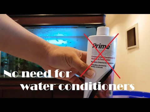 Cheaper alternatives to dechlorinate tap water for your aquarium