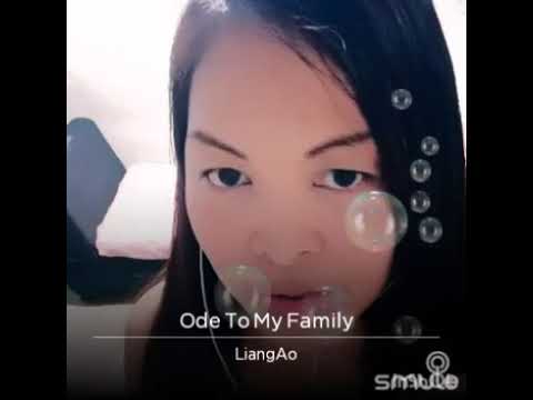 Ode To My Family cover