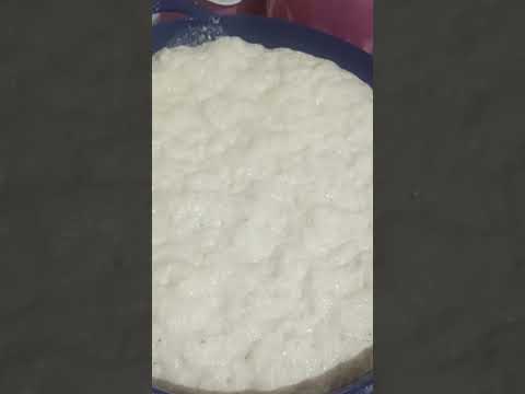 Esponja para fazer pães para vender.#paes #explore #viralshorts