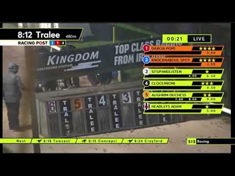 Carreras de Galgos - Tralee 2021 🇮🇪