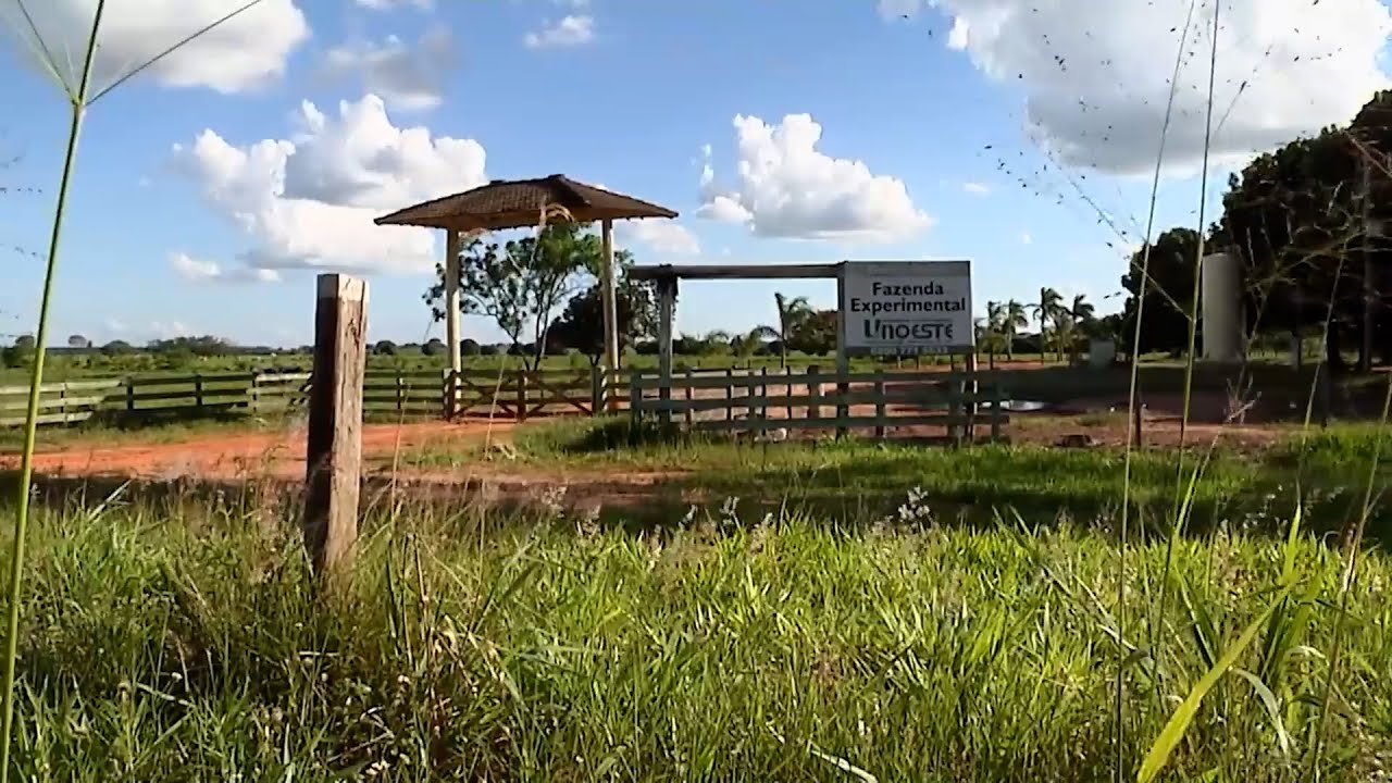 03 ENE SABADO   CAP 1   SEMPRECOL GIRA BRASIL SISTEMA   BRASIL 1