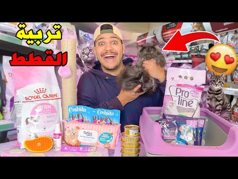 واخيرا..ربيت قطة لاول مرة🐈اصعب تحدي فحياتي😱