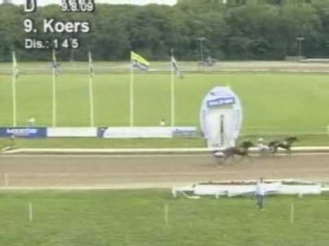 DE TELEGRAAF MERRIE DERBY Z - Zytana Promise