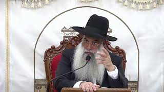 🕊️ הרב ישי פרי שליט״א |השיעור השבועי | פרשת אמור תשפ״ו