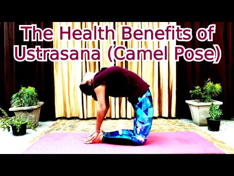 The Health Benefits of Ustrasana (Camel Pose)