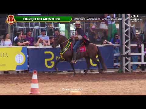 Mangalarga Marchador  Cavalos Campeões Nacionais de Marcha Picada 2022