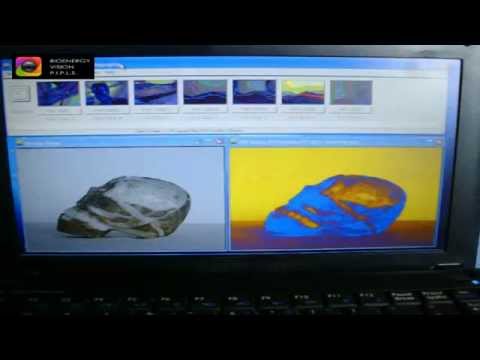 Klaus Dona | PIP Skull |  Archive video