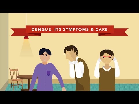 The Symptoms of Dengue