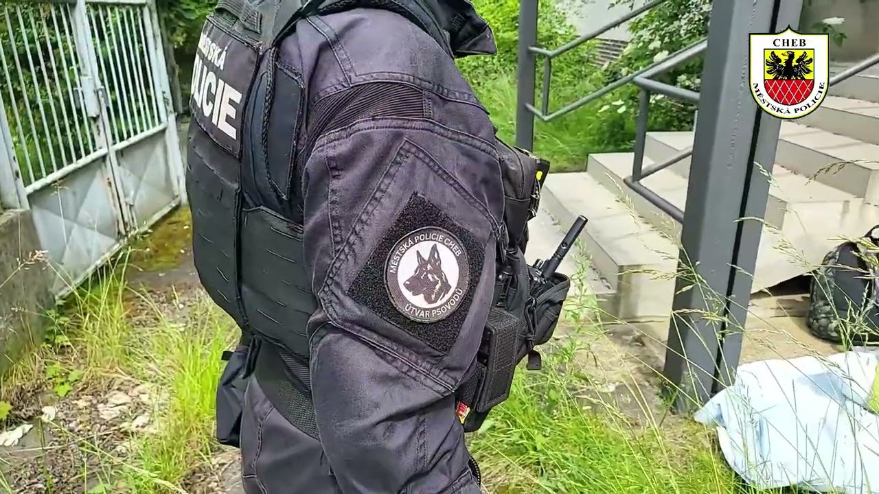 Do řad Městské policie Cheb patří i služební pes