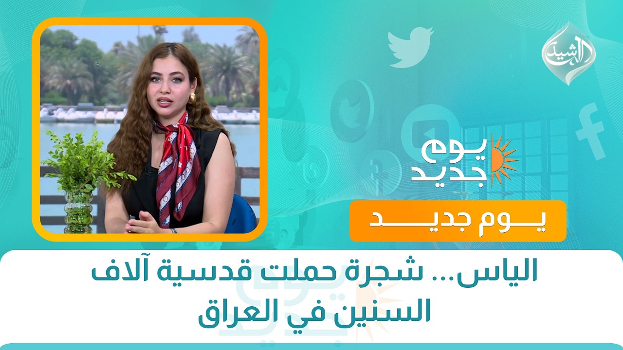 فيديو | الياس... شجرة حملت قدسية آلاف السنين في العراق